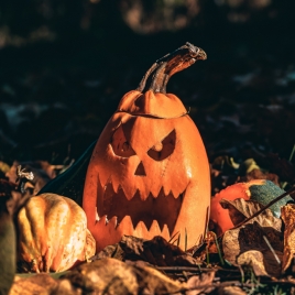 SLVie 08 - Sortie Halloween au Zoo de La Boissière Du Doré