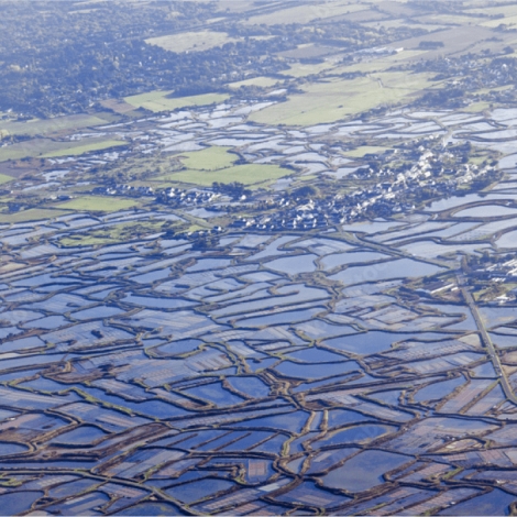 SLVie 13 - Visite de Guérande et des marais en trottinette électrique