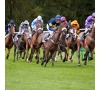 SLVie 11 - Hippodrome de Nantes