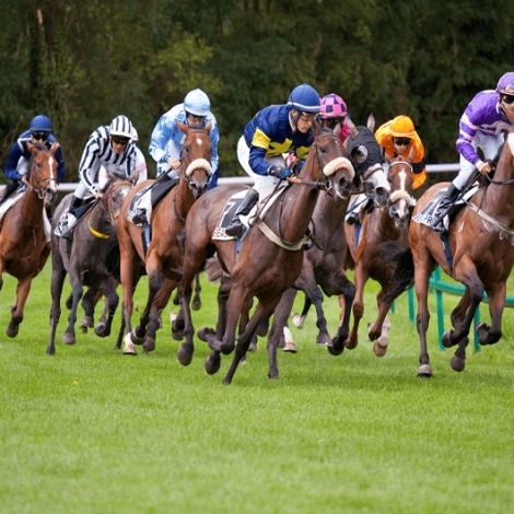 SLVie 11 - Hippodrome de Nantes