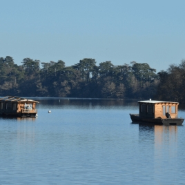 SLVie 10 - Croisière Photo sur l'Erdre