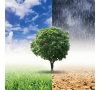 Slvie 05 - Fresque sur le climat