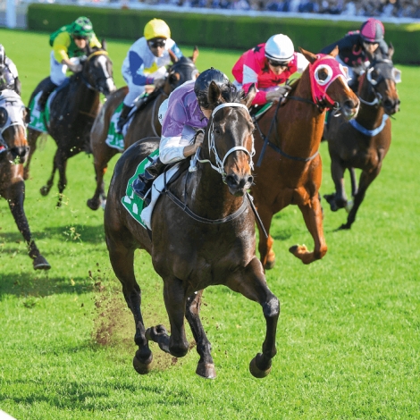 Slvie 11 - Hippodrome de Nantes