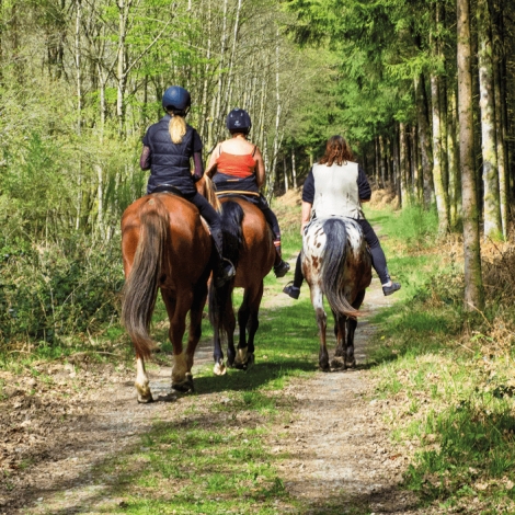 Slvie 15 - Balade à cheval