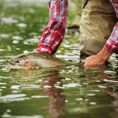 Slvie 01 - Fête de la Truite