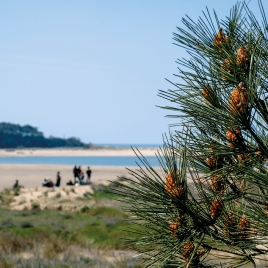 Slvie 05 - Découverte de la nature olonnaise