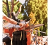 Slvie 12 - Fête de la Slvie 12