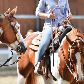 Slvie 15 - Balade à cheval - session 2