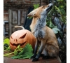 Slvie 08 - Halloween au zoo