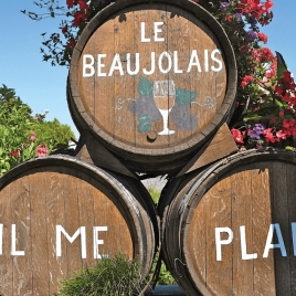 Slvie 05 - Beaujolais nouveau