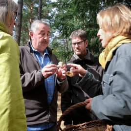 Slvie 16 -Découverte du règne fongique