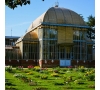 Slvie 13 - Sortie Botanique et Muséum