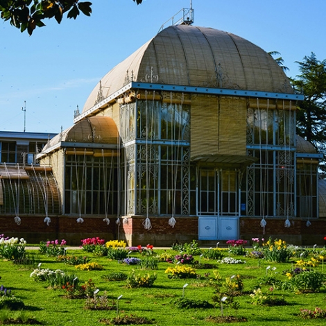 Slvie 13 - Sortie Botanique et Muséum